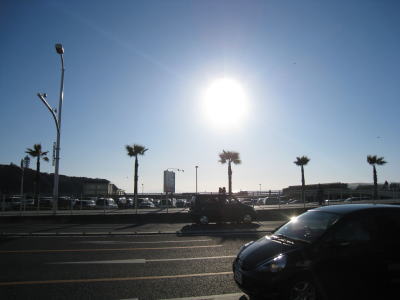 20090126yoko7