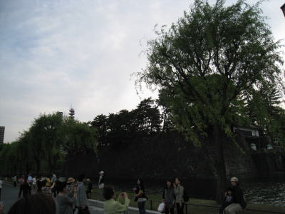 0_20090504tokyo10.jpg
