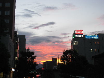 20090316_suichi.jpg