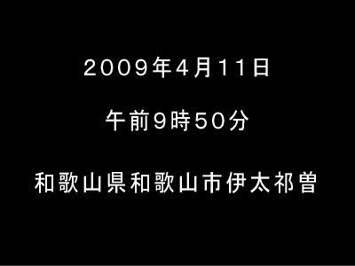 20090411waka00.jpg