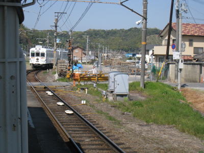20090411waka03.jpg
