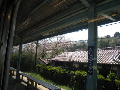 20090411waka05.jpg