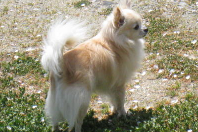 20090411waka17.jpg