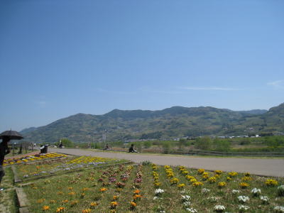 20090411waka18.jpg