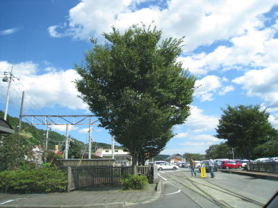 20090913_41.jpg
