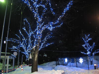 20091221_switch02.jpg