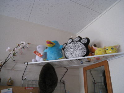20100314icoca07.jpg