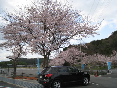 2010040702.jpg