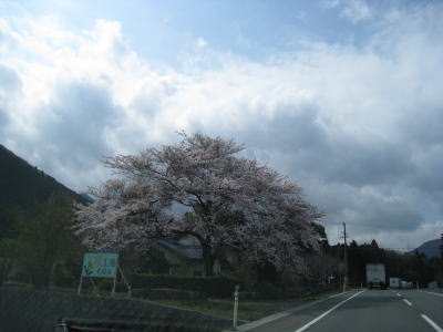 2010040705.jpg
