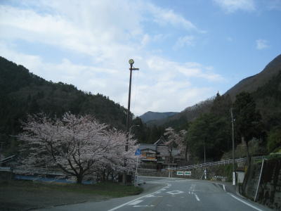2010040706.jpg
