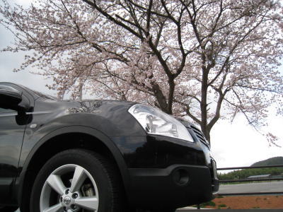 2010040708.jpg