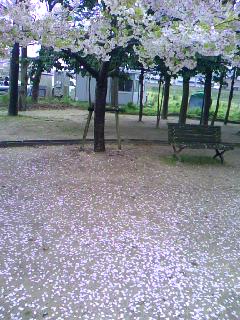 PA0_0003.JPG